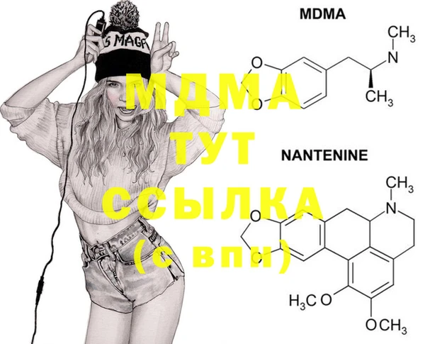 молекула духа Бородино